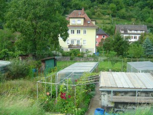 Das Gelände des ehemaligen Lagers Kinzigdamm im Jahr 2011 Das Gelände des ehemaligen Lagers Kinzigdamm im Jahr 2011